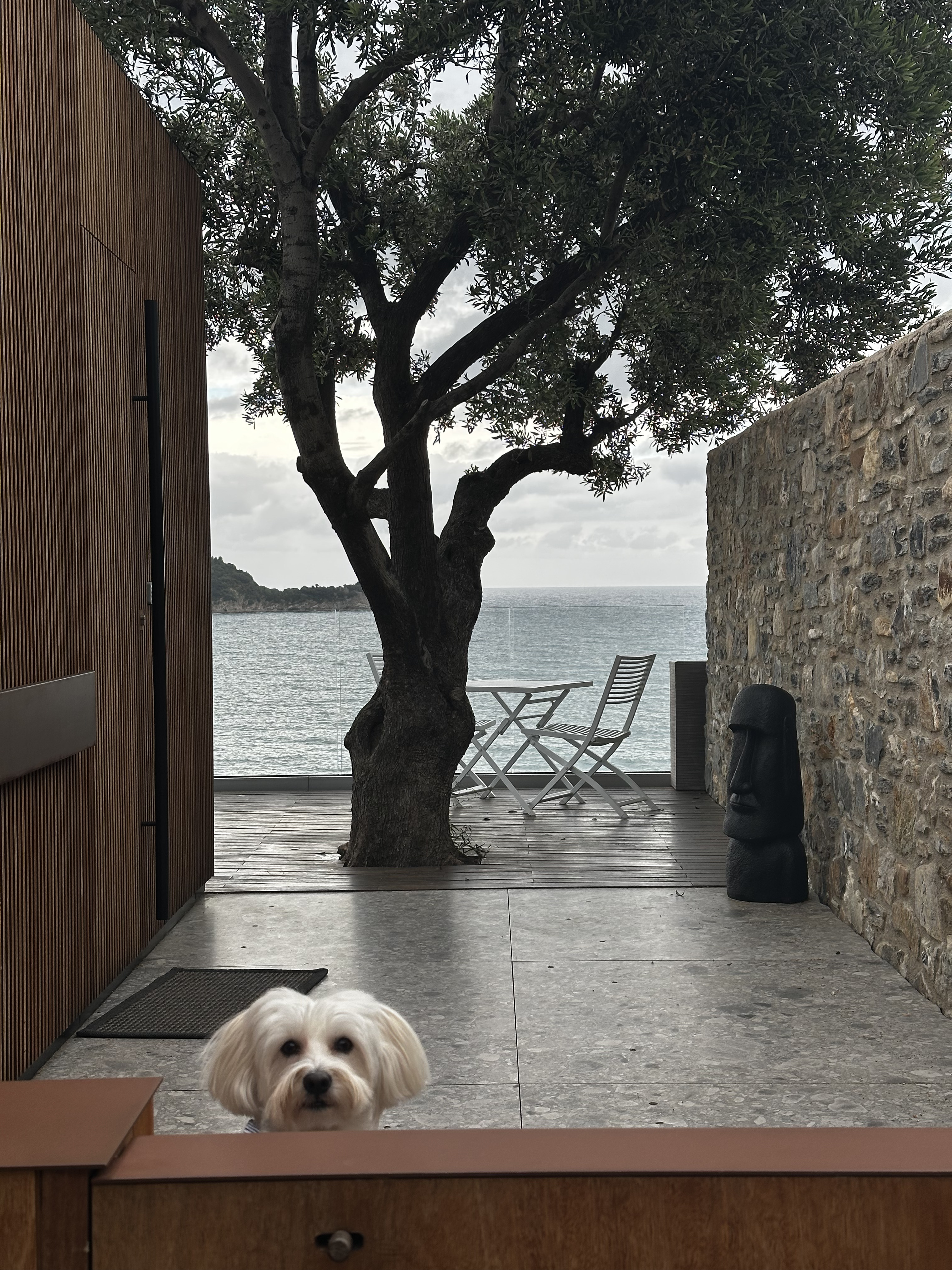 Alassio project photo 3
