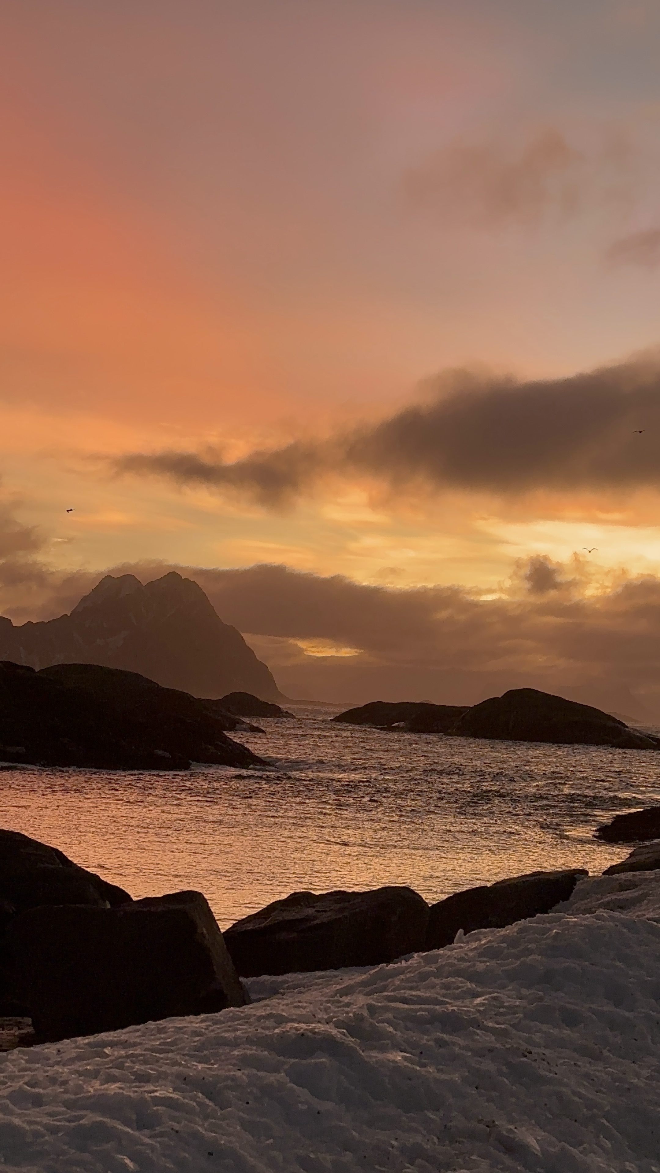 Norway project photo 5